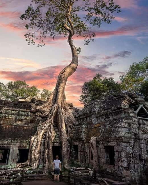 Siem Reap: 2-Day Angkor Tour with Spanish-Speaking Guide - Who Will Love This Tour?
