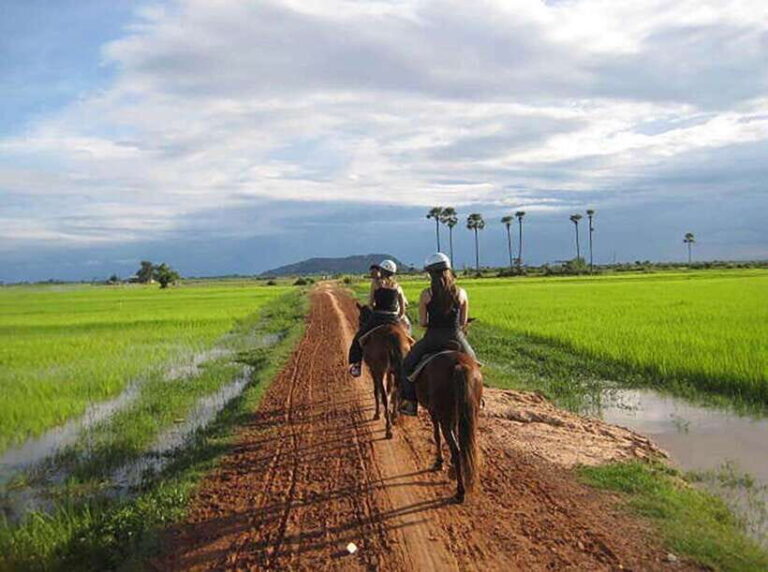 Siem Reap Happy Horse Riding Free Pick-up & Drop-off - The Itinerary: What to Expect on Your Horseback Adventure