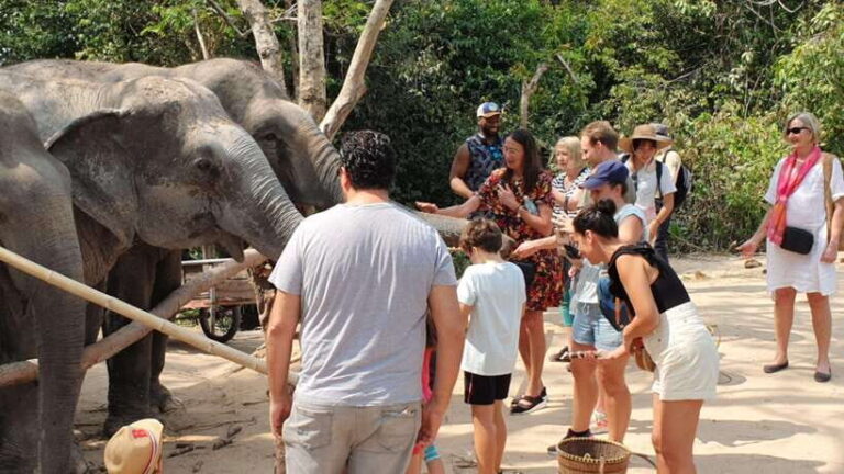 Siem Reap: Small Group Tour of Kulen Elephant Forest - The Itinerary in Detail