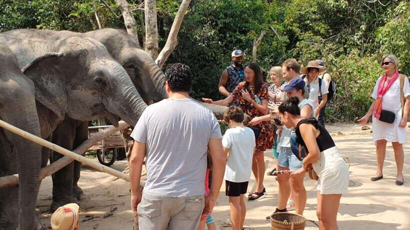 Siem Reap: Small Group Tour of Kulen Elephant Forest - The Itinerary in Detail