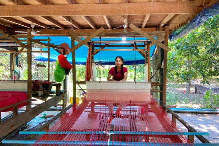 Silk Island Cruise and Tours with English Speaking Guide - Practical Aspects of the Tour