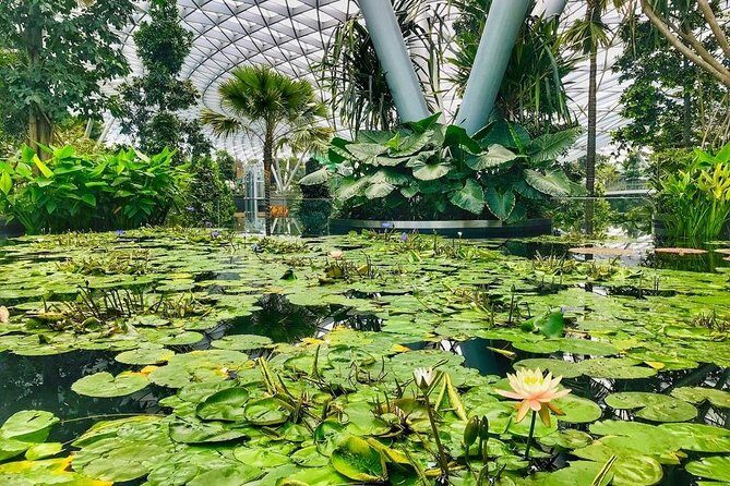 Singapore Changi Jewel Highlights Walking Tour - The Value for Travelers