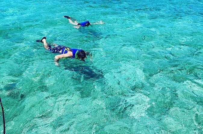 Small-Group Snorkeling Experience at Sea Garden - Pricing & Value Analysis