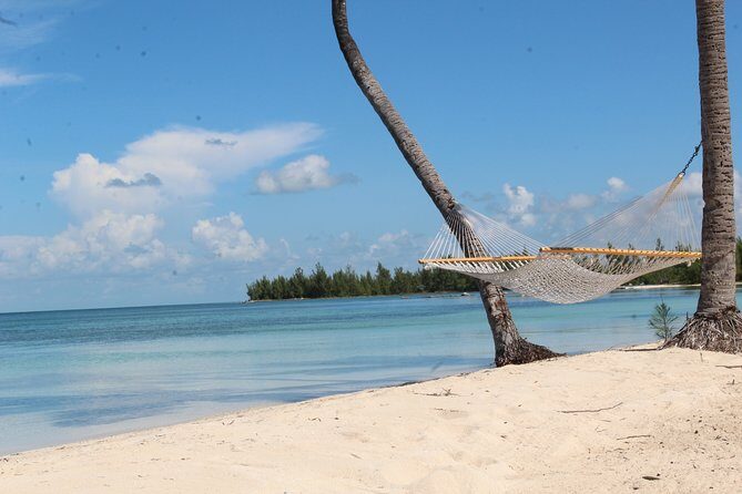 Snorkel/Swim with the Turtles Experience - Final Thoughts: Who Will Love This Tour?