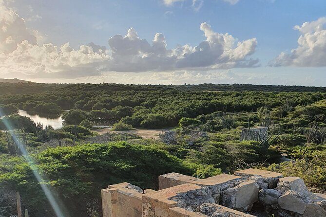 Spanish Lagoon Mangrove Trail & Bird Watching - What the Reviews Tell Us