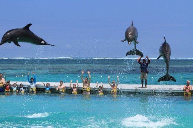 Speed Boat Adventure In Punta Cana - Who Should Consider This Tour?