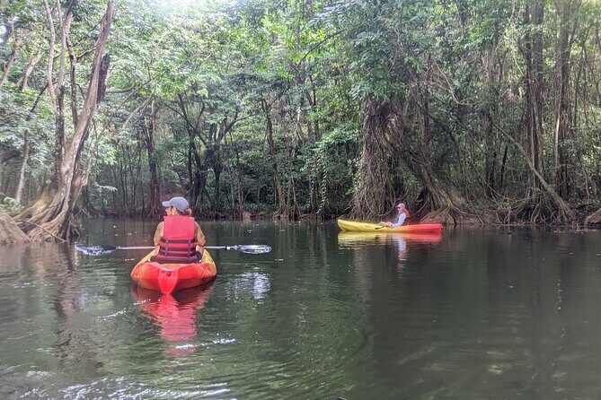 Splash Adventure Jeep and Kayak Safari - FAQs