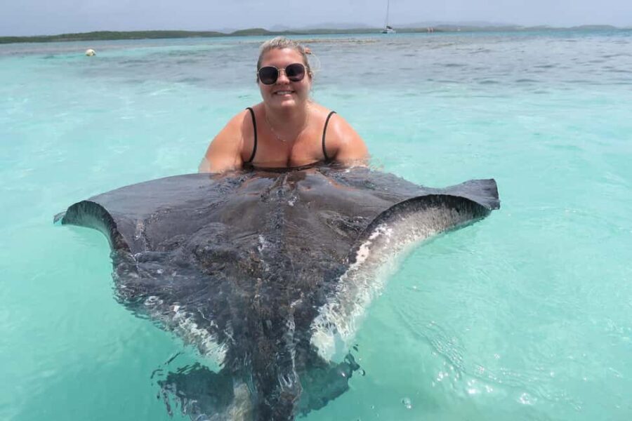 St. John's; Combo Laviscount Island & Swimming with Stingray - The Itinerary in Detail