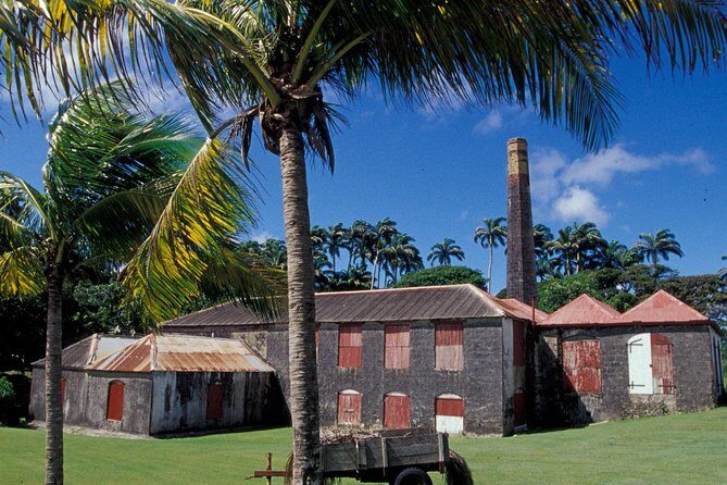 St Nicholas Abbey Tour in Barbados - What the Reviews Say