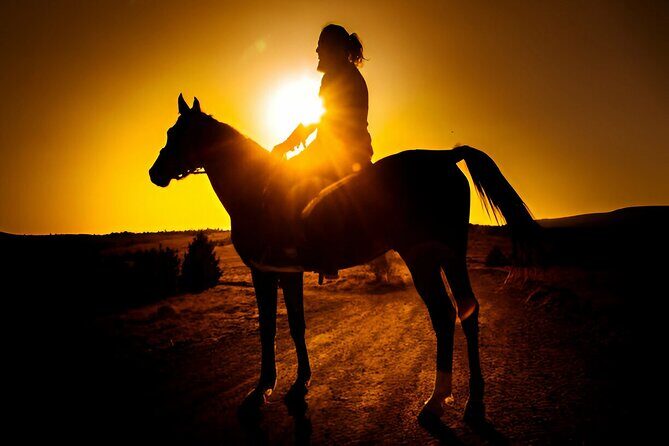 Sunset Horseback Ride at Macao Beach & Forest with Transfers - The Experience: What Youll Feel and See