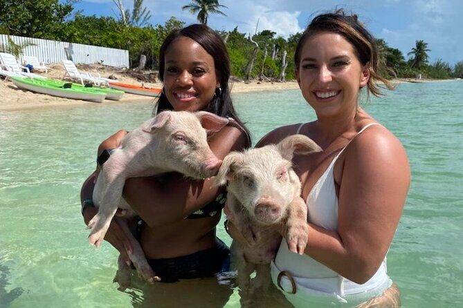 Swim with the Pigs and Explore Caves in Nassau - What to Expect From the Experience