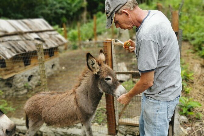 Taino Valley Tropical Park Puerto Plata Tubagua - Value and Practicality