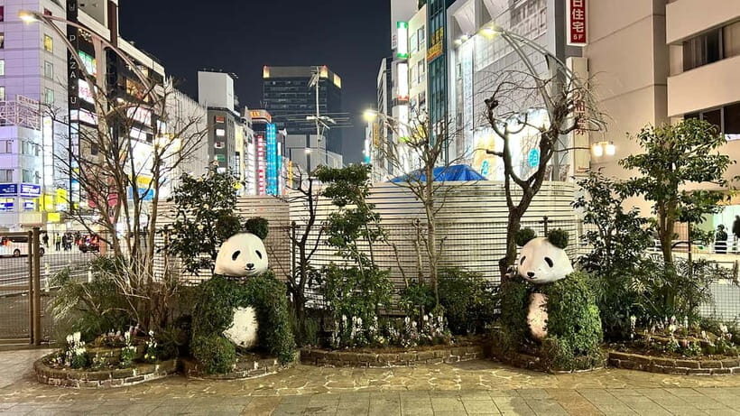 Tokyo: Akihabara, Shibuya, Karaoke & City Lights Night Tour - What the Reviews Tell Us