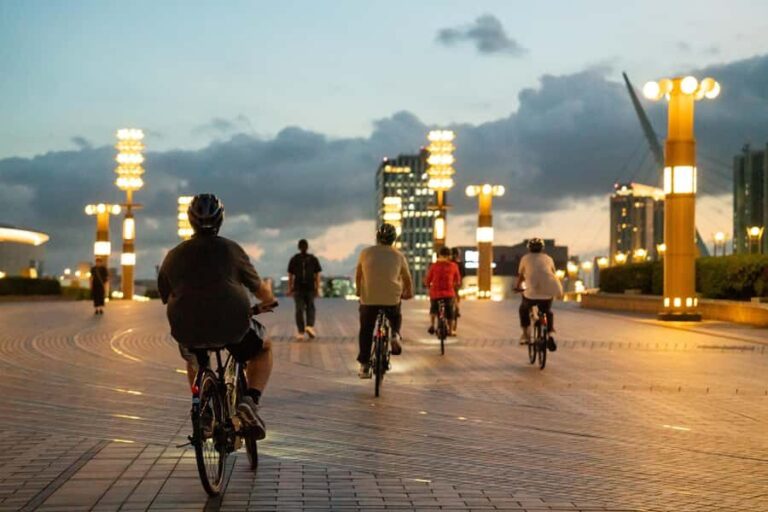 Tokyo Bay Area: Sunset Night View 3h E-bike Guided Bike Tour - The Value and Practicalities