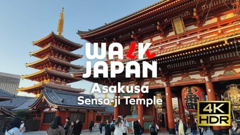 Tokyo: Customizable Day Trip Within Tokyo & English-Driver - Who Would Benefit from This Tour?