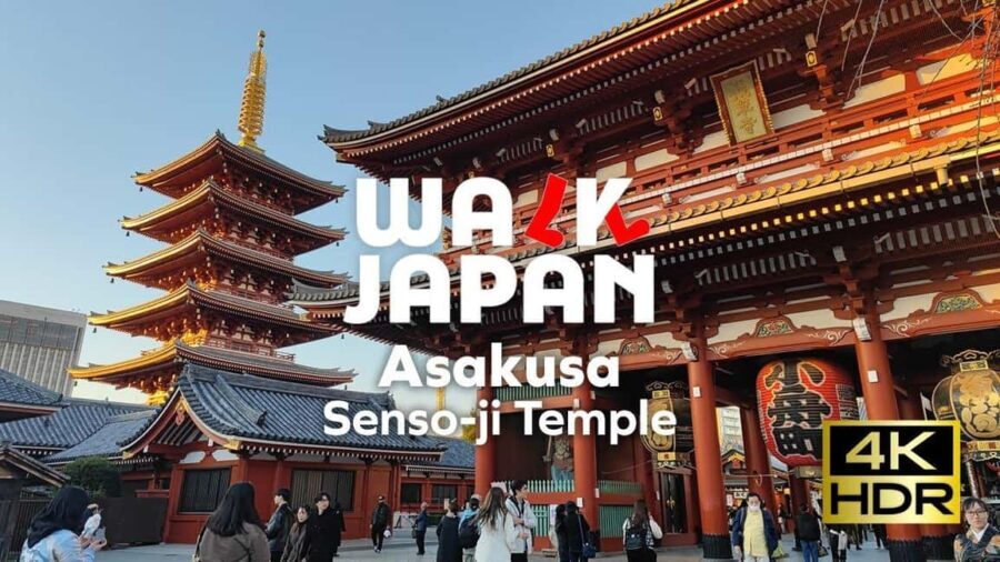 Tokyo: Customizable Day Trip Within Tokyo & English-Driver - Who Would Benefit from This Tour?