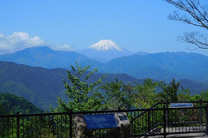 Tokyo: Mt. Takao Tour with Ramen and Tattoo-Okay Hot Spring - Final Thoughts