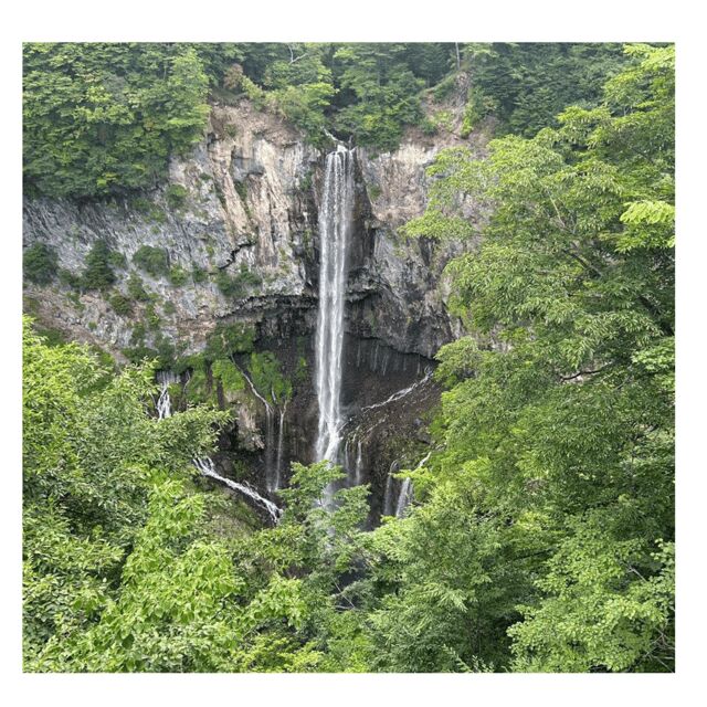 Tokyo: Nikko Kegon Falls Lake Chuzenji Toshogu Temple & More - Who Will Love This Tour?