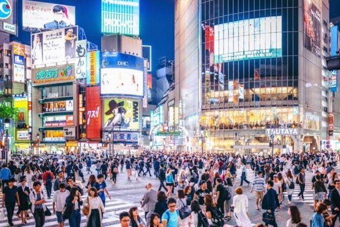 Tokyo Private Tour by Car with English speaking driver - Futuristic Fun in Odaiba