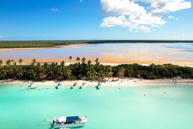 Tour to Isla Saona From Punta Cana with Transportation and Lunch - What Travelers Are Saying