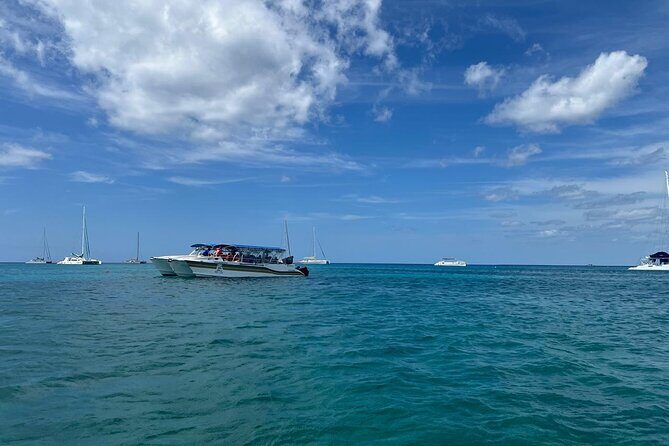 Tour to Saona Island with Lunch and Transportation - What Travelers Are Saying