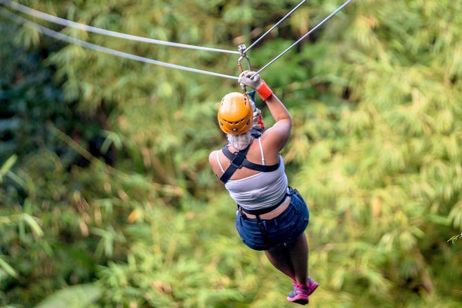 Treetop Zipline Experience From Castries - FAQs