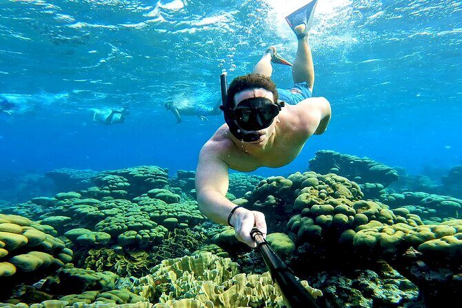 Tropical Dream Snorkel and Dinner Sail in Aruba - Practical Details and Tips