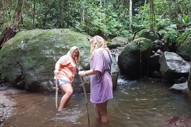 Tropical Rain Forest Explorer Hike In St. Kitts - Deep Dive into the Experience