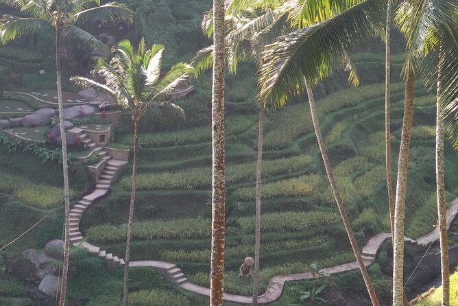 Ubud Private & Customize Day Tour - FAQ
