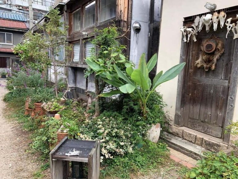Urban Canvas: Osaka Street Art Bike Tour - Final Thoughts: Who Should Consider This Tour?