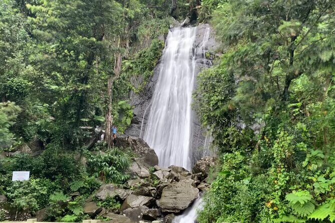 USDA El Yunque National Forest and Luquillo Beach Tour - Authenticity and Value: What Travelers Say