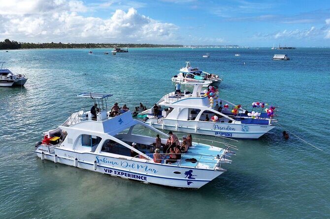 VIP Private Booze Cruise with Live Dj and BBQ in Punta Cana - Who Would Love This Tour?
