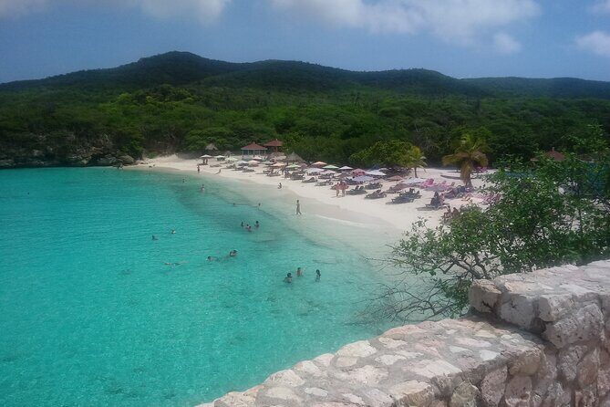 Western snorkel & swim Trip - Final Thoughts
