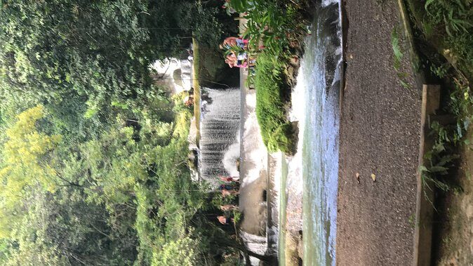 YS Falls Private Full-Day Adventure Tour with Pickup - A Closer Look at the YS Falls Experience