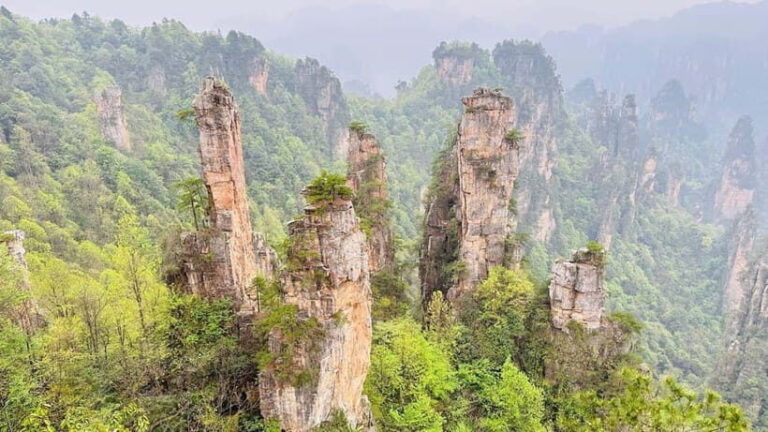 Zhangjiajie: National Forest Park 1-Day VIP Private Tour - What You’ll See and Do