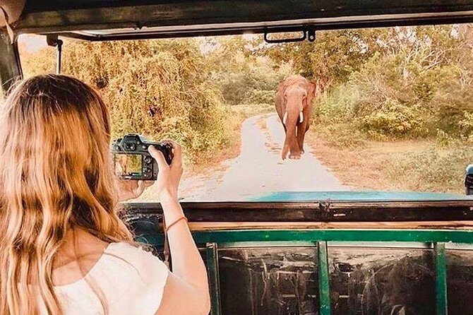 08 - Day Classic Tour with English speaking drive and Private luxury vehicles - Who Will Love This Tour?
