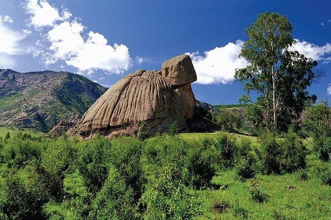 1 Day Coach Tour of Terelj National Park Including Lunch And Free Camel Ride - Authenticity & Realistic Expectations