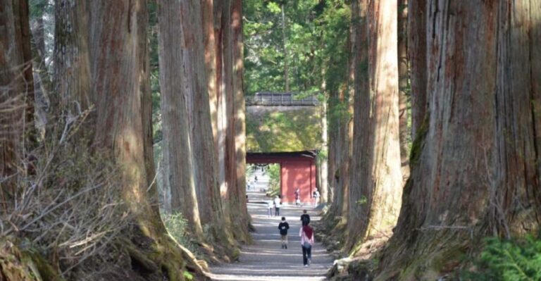 1-Day Togakushi: Soba making, Ninja Town and Hidden Shrines - Who Should Consider This Tour?