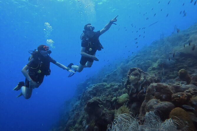 2 guided shore dives in Curacao - The Value of the Tour