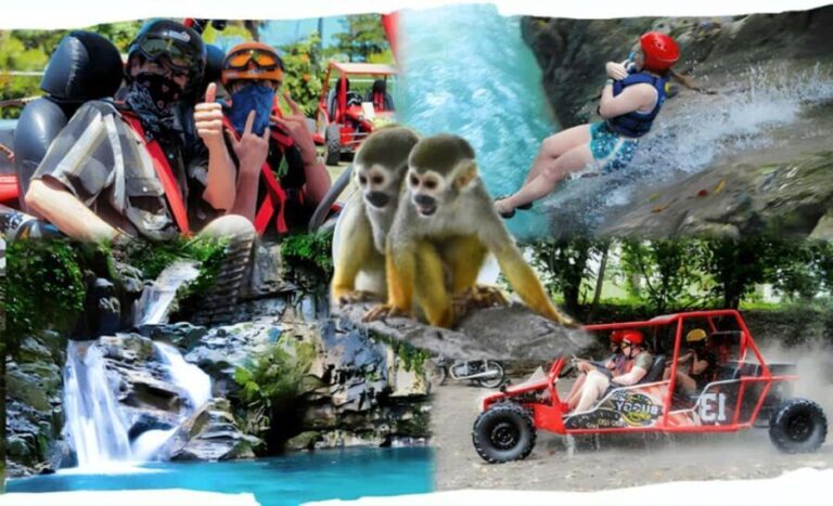 3x1: Monkeyland Damajagua Falls & Buggy Tour Puerto plata - Key Points
