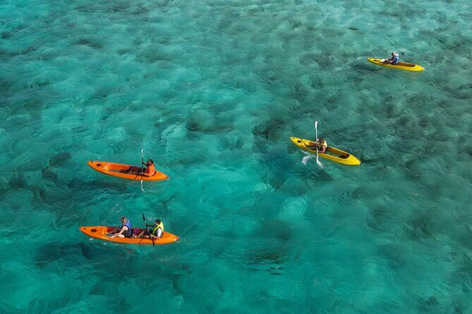 Adventurous Clear Kayak And Snorkeling Tour At Mangel Halto - The Realities of the Experience