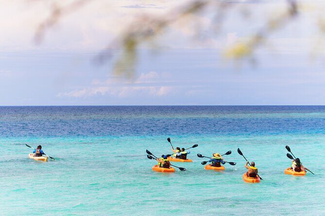 Aruba Kayak Explorers - The Itinerary in Detail