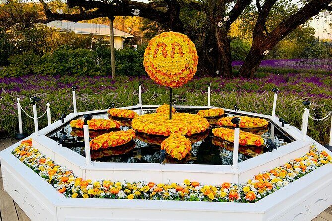 Ashikaga Flowers Park Pvt. One Day Tour with Pickup - Who Should Consider This Tour?