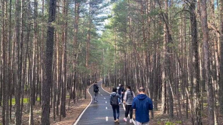 Astana: Burabay Oasis National Park Adventure - Discovering Burabay: A Landscape of Natural Wonders