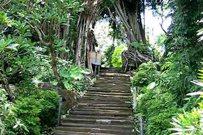 Bali Shaman,Palm Reading,& Spiritual - What to Expect During the Tour