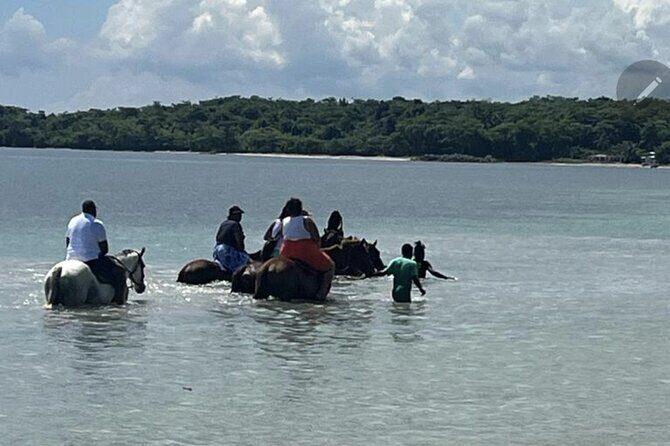 Bamboo Rafting and HorseBack Riding Excursion in OchoRios Jamaica - Why This Tour Works