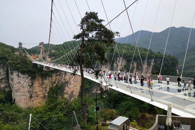 Baofeng Lake,Zhangjiajie Glass Bridge & Grand Canyon day tour - A Deep Dive into the Itinerary