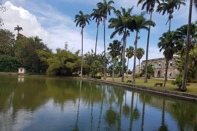 Barbados Half Day Coastal Sightseeing Private Tour - What’s Included and What to Keep in Mind