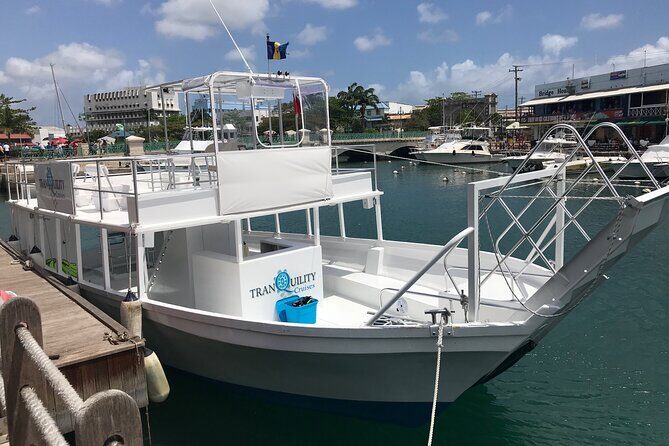 Barbados Shore Excursion Island Tour and Snorkel Cruise - Start at the Cruise Terminal: A Seamless Beginning