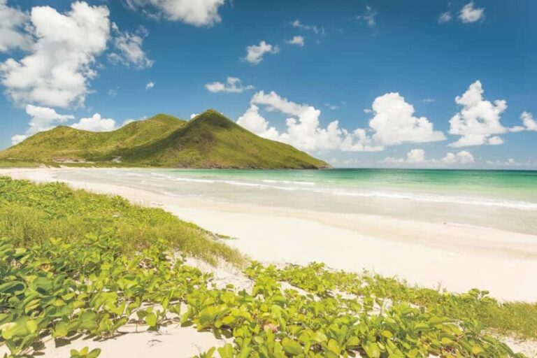Basseterre: Highlights Capital and Beach Tour - Exploring Basseterre and Beyond